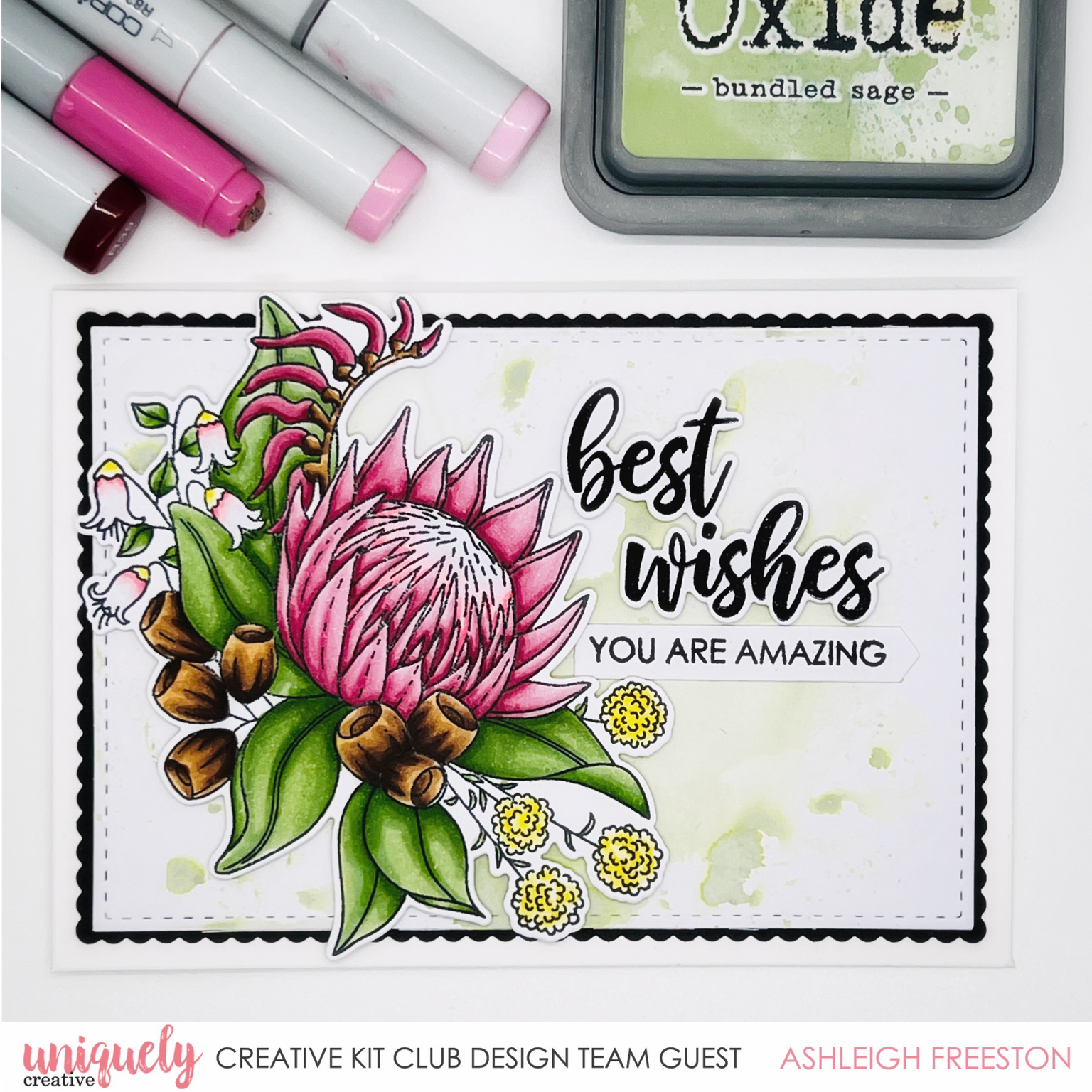 Australian Natives Cards - Ashleigh Freeston