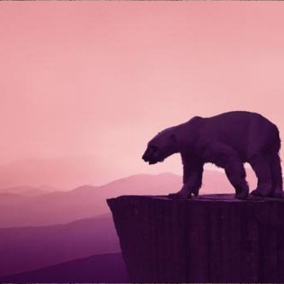 Creating a Monochromatic Scrapbooking Layout