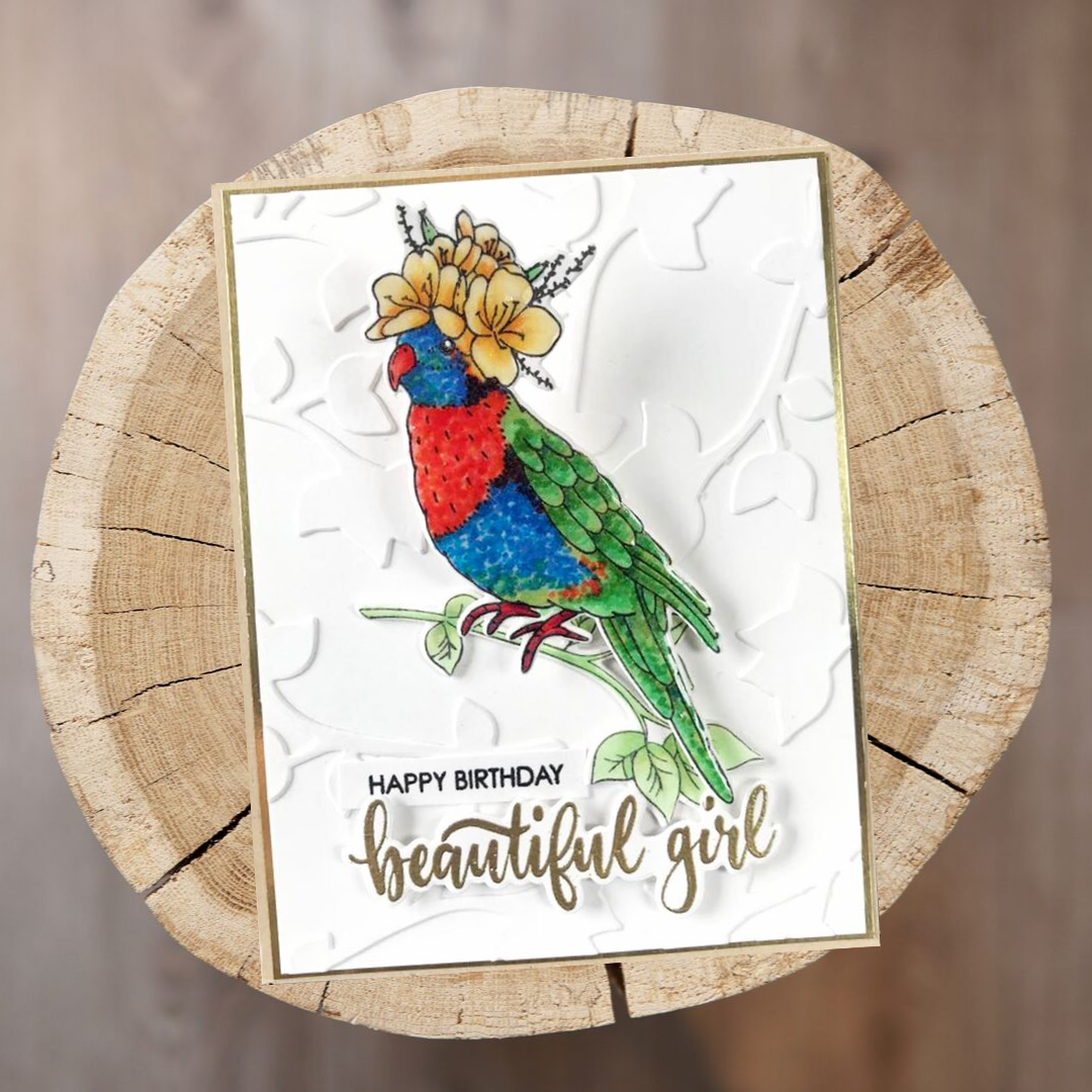 Happy Birthday Beautiful Girl - Inky and Stampy