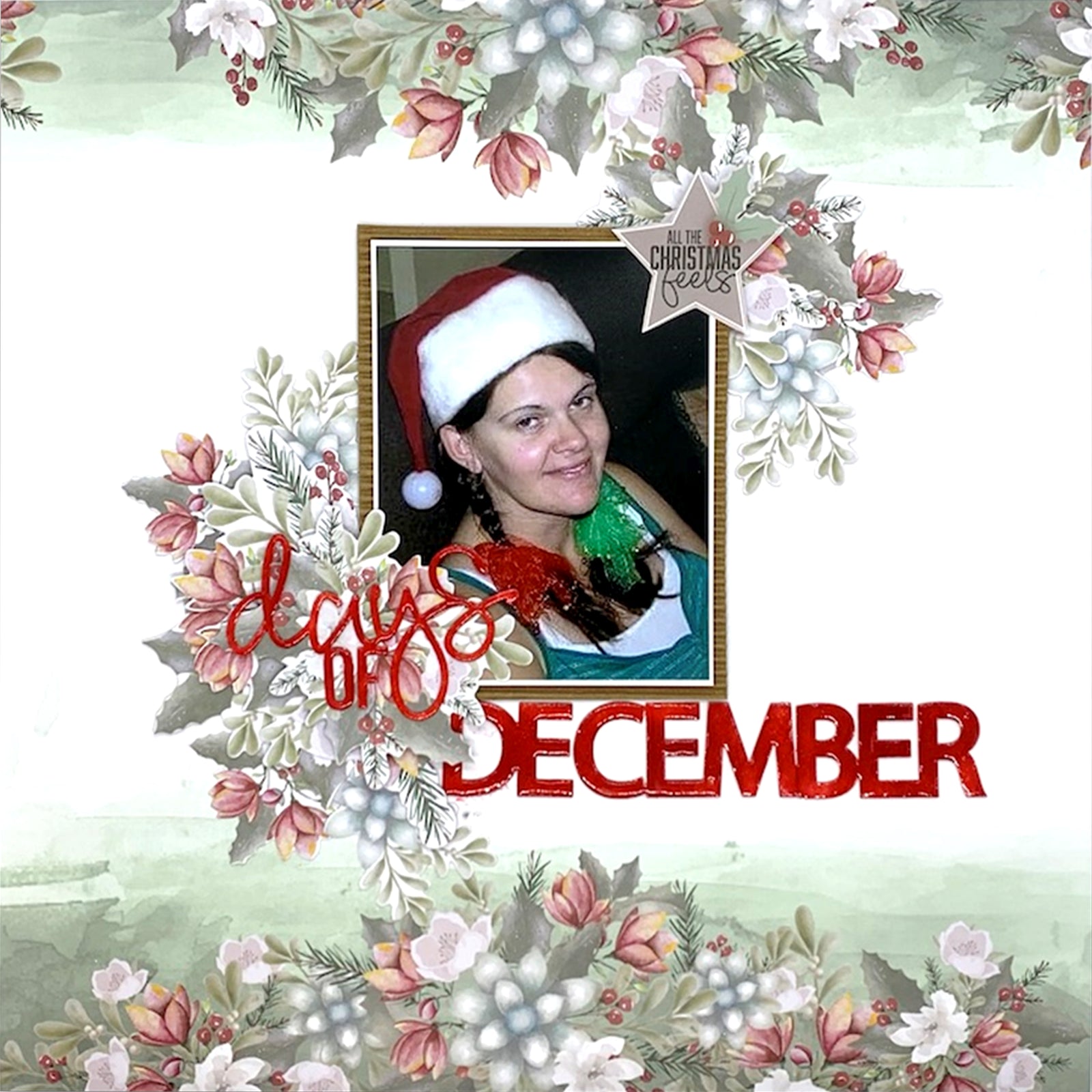 Days Of December - Julie Schinkel