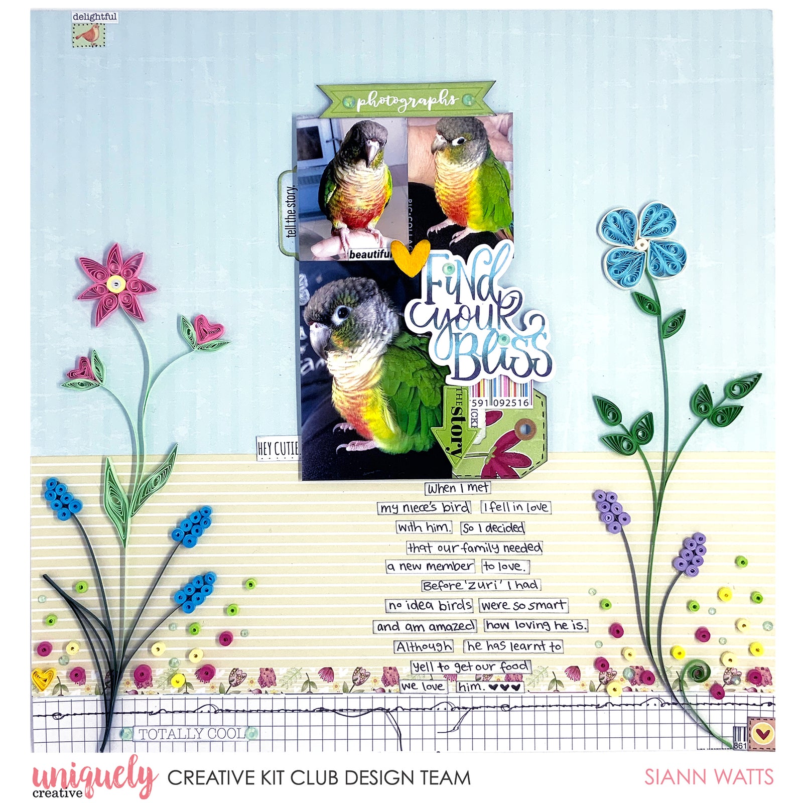 Find Your Bliss - Siann Watts