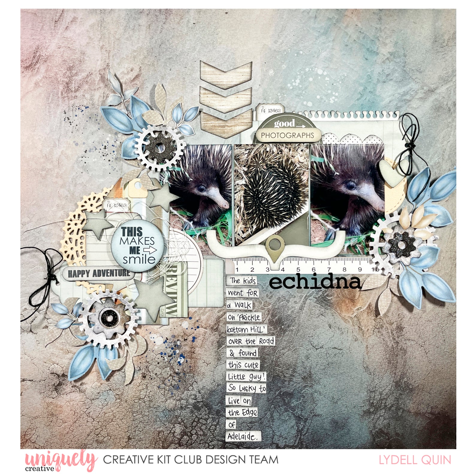 Echidna Layout - Lydell Quin