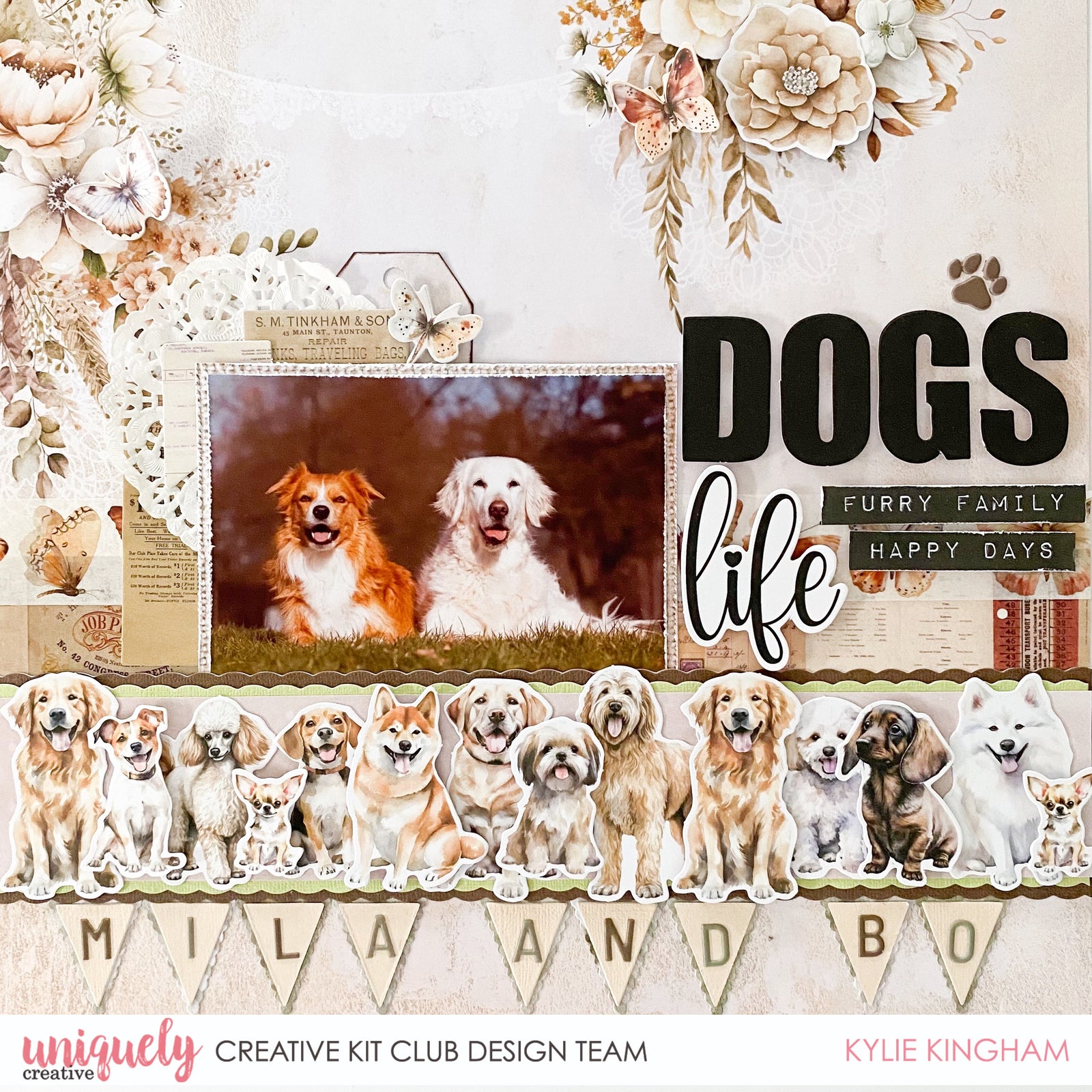 A DOG'S LIFE LAYOUT - KYLIE KINGHAM