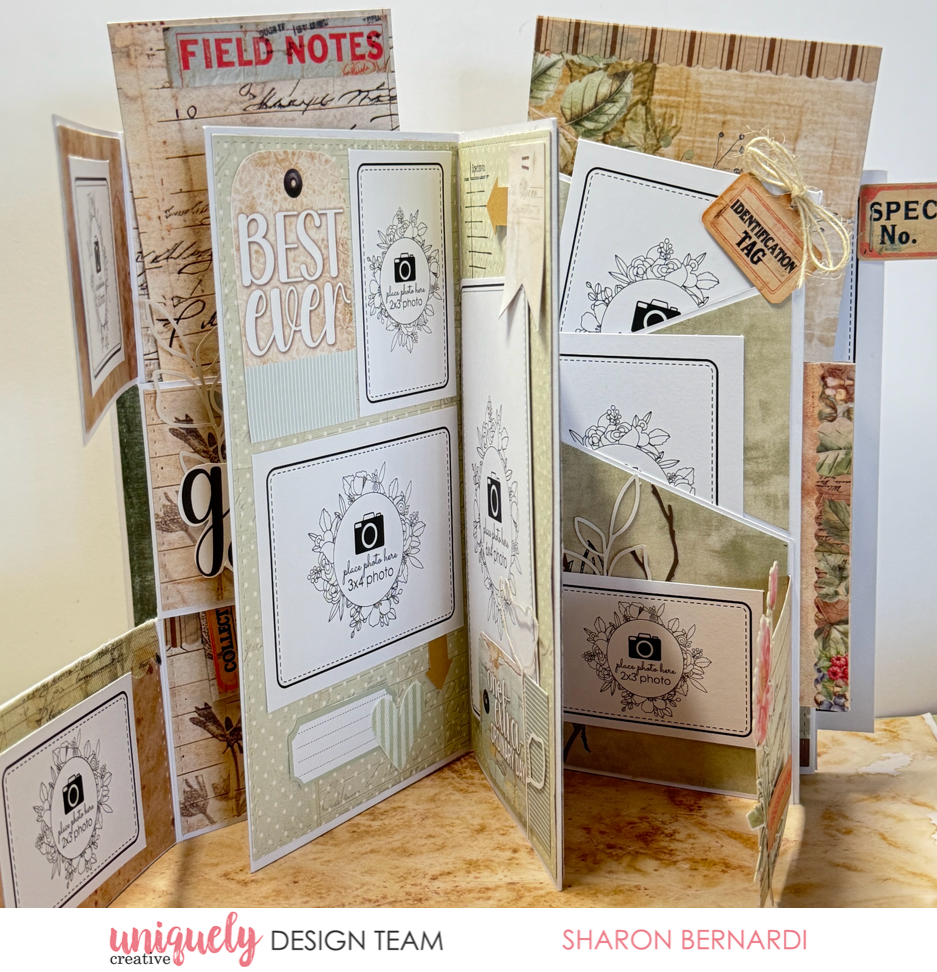 THE EVERYTHING FOLIO - SHARON BERNARDI