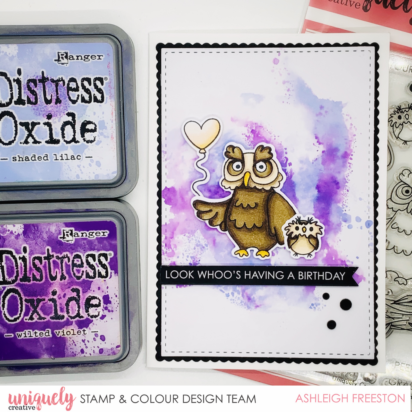 Whoo's Having A Birthday - Ashleigh Freeston