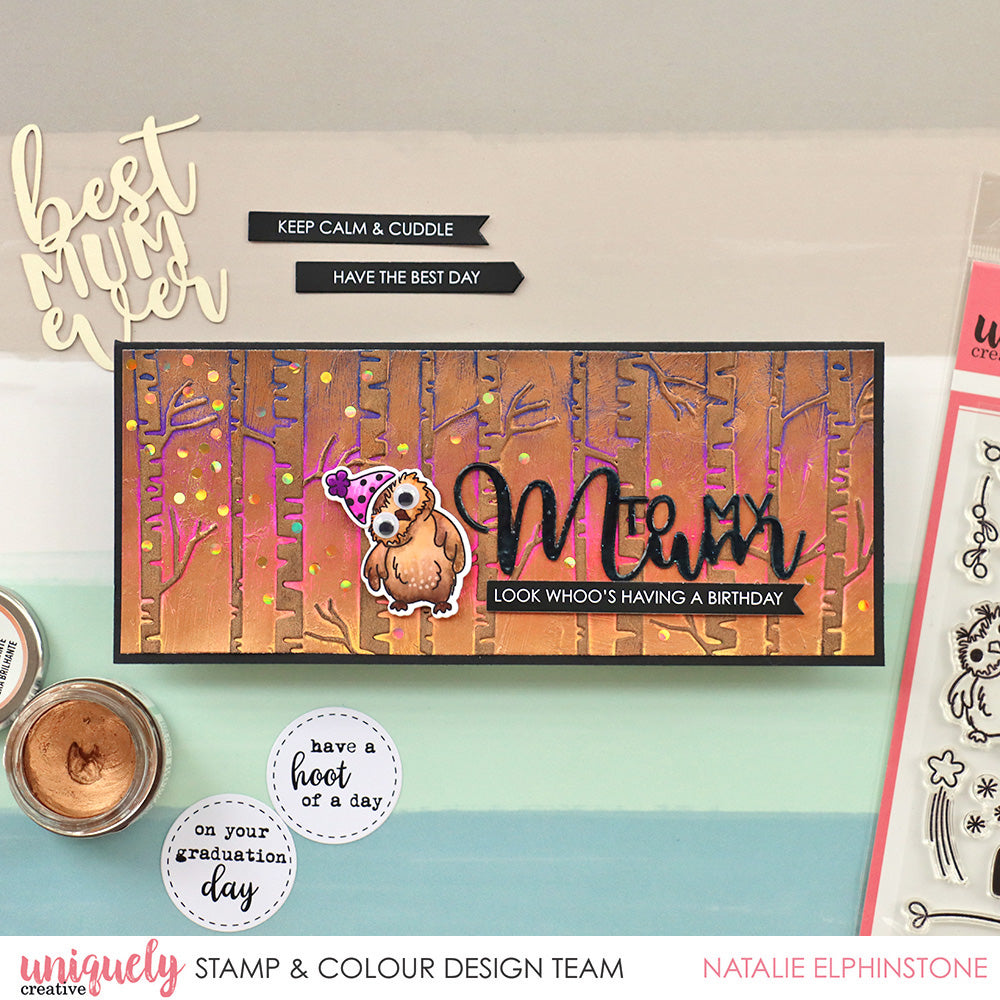 Look Whoo's Having A Birthday - Natalie Elphinstone