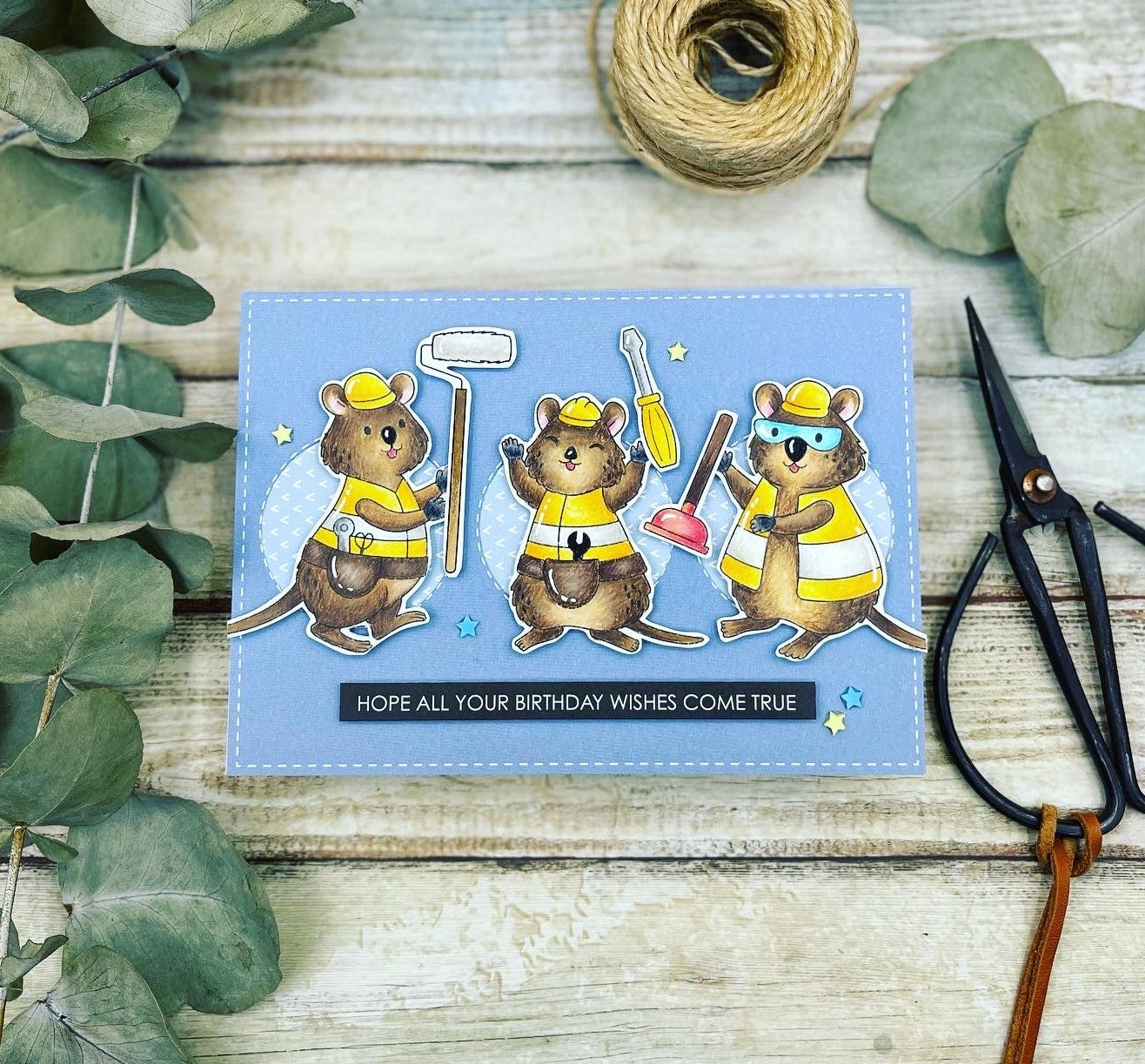 Wishes Come True - Rachel Finn