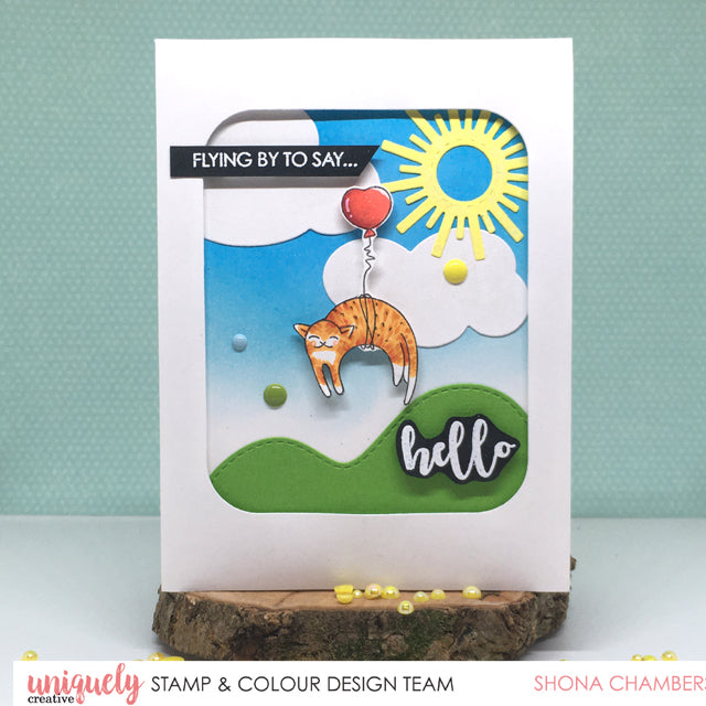 Flying By to Say Hello - Shona Chambers