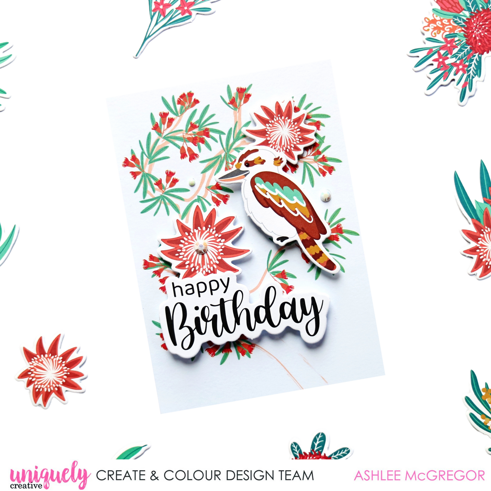 Kookaburra Birthday - Ashlee McGregor