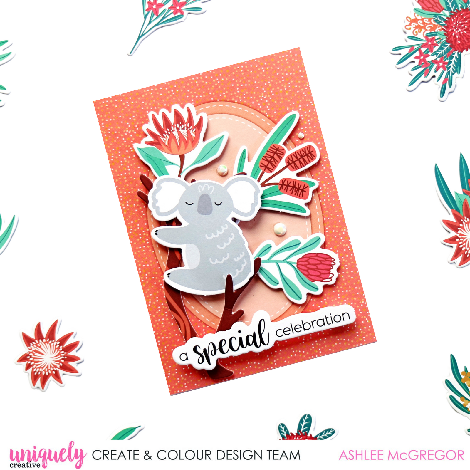 Special Celebration - Ashlee McGregor