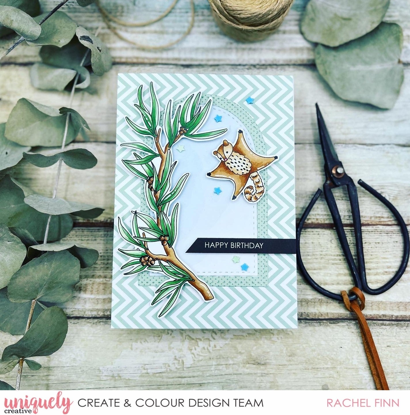 Sugar Glider Birthday - Rachel Finn