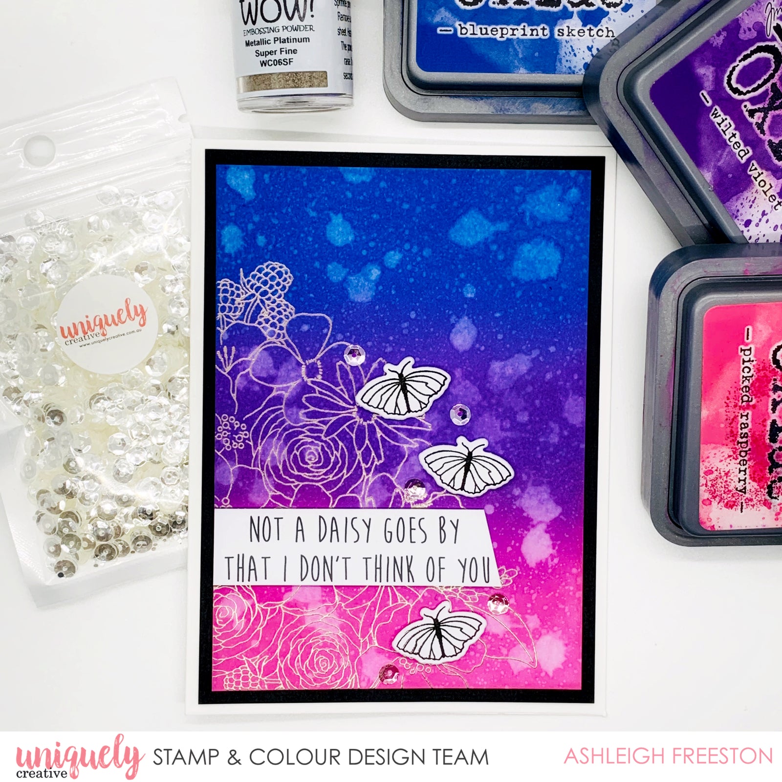 Daisy Goes By - Ashleigh Freeston