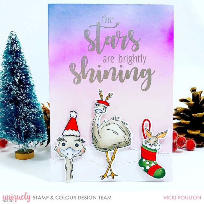 The Stars are Brightly Shining - Vicki Poulton