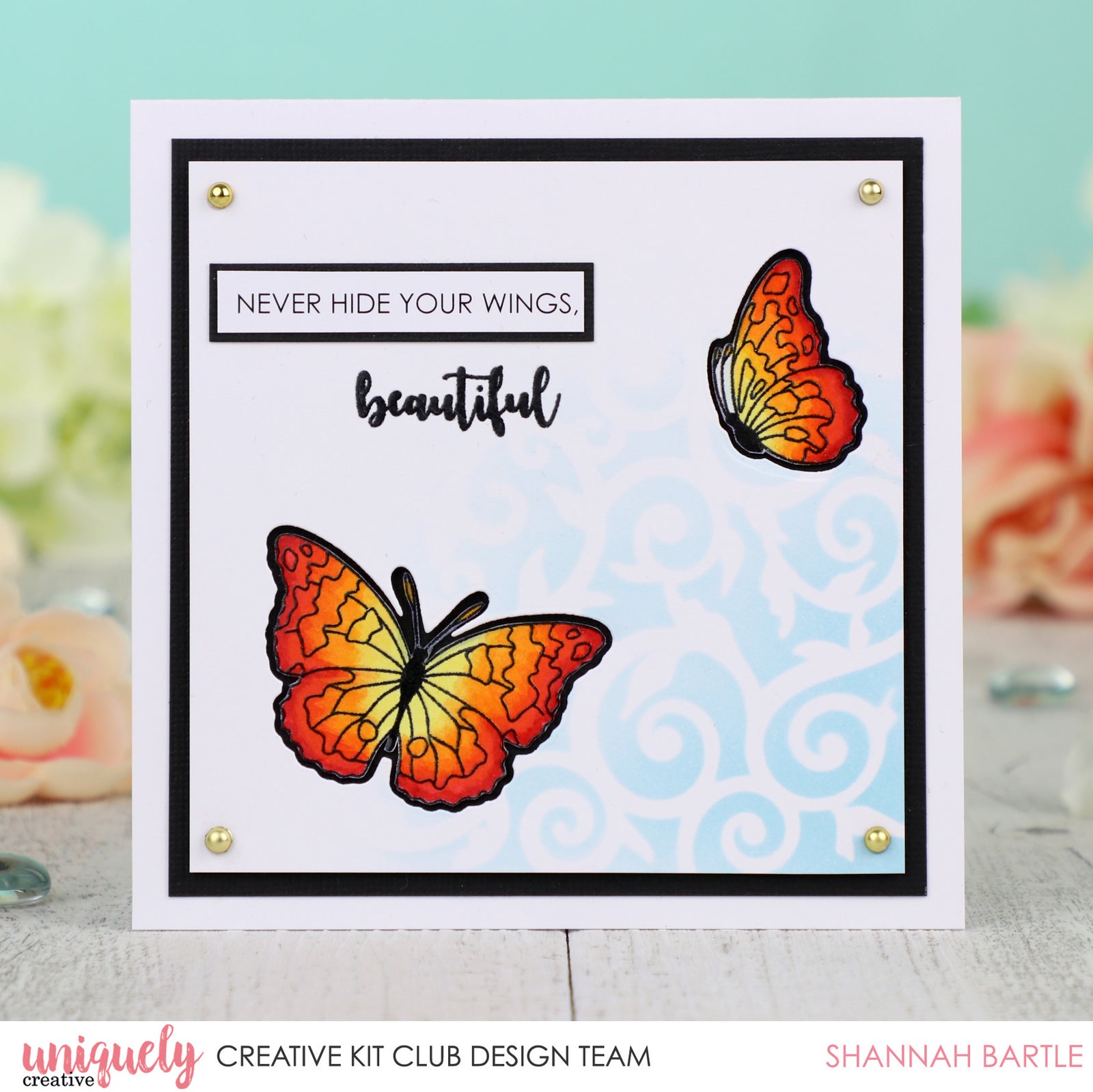 Never Hide Your Wings - Shannah Bartle