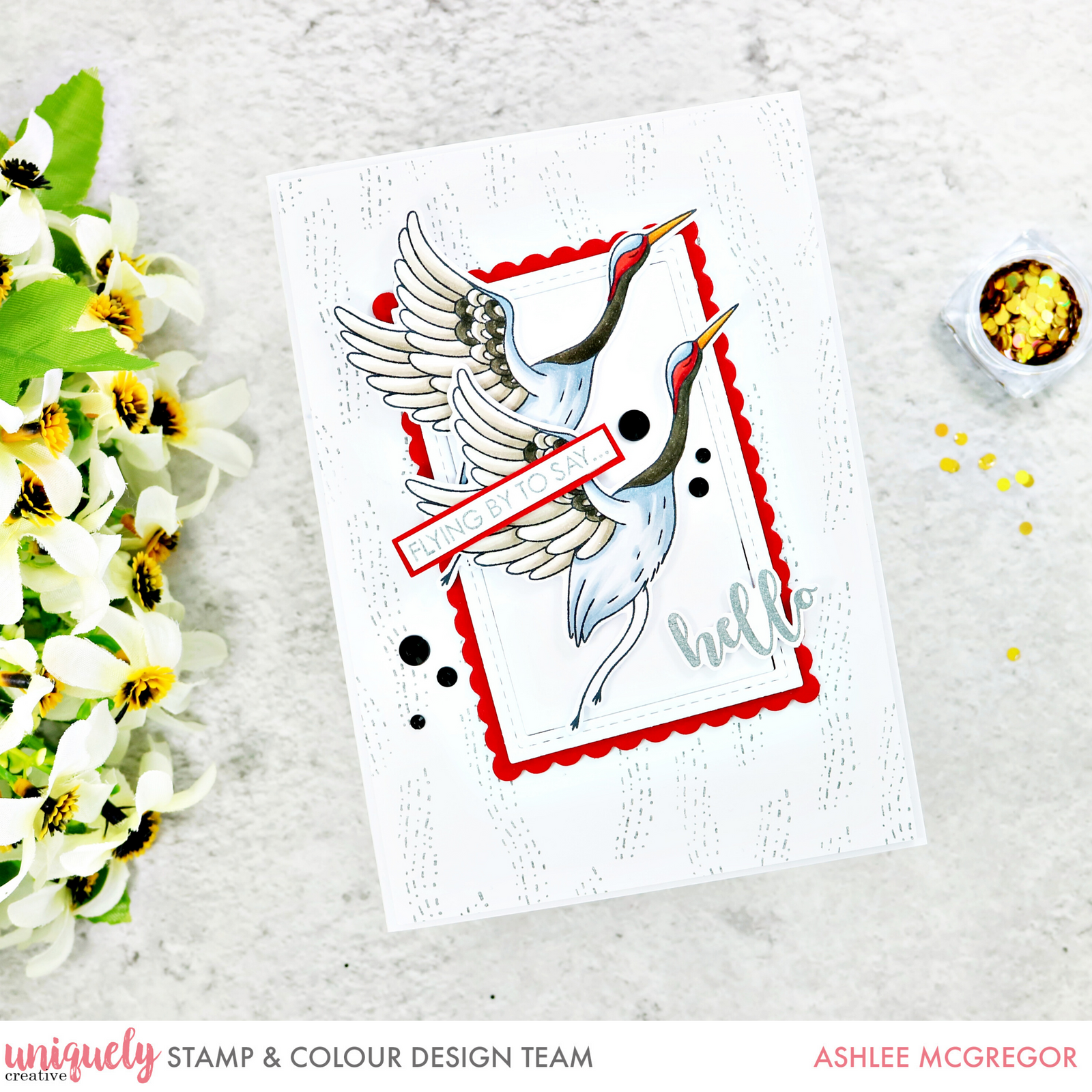 Flying By to Say Hi - Ashlee McGreggor