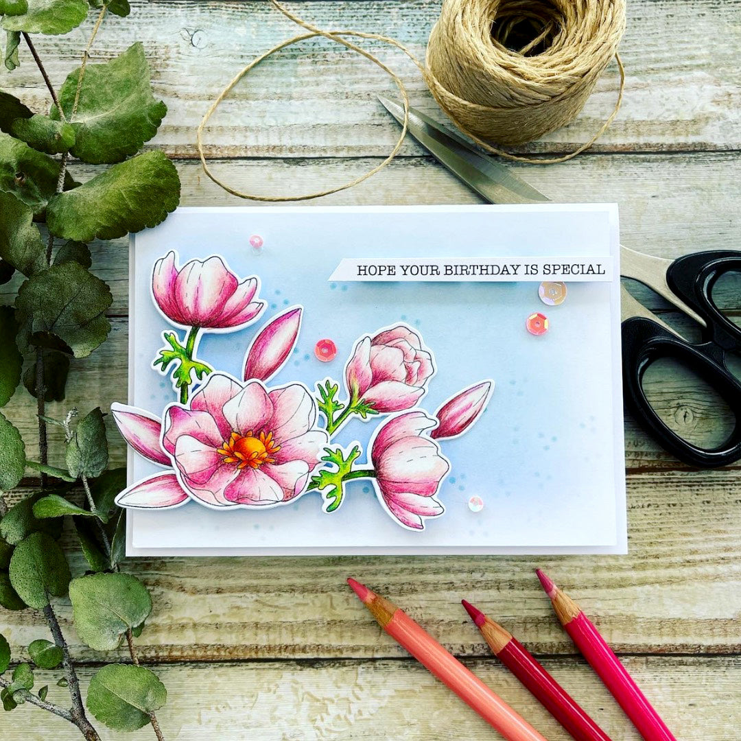 Hope Your Birthday Is Special Tutorial - Rachel Finn