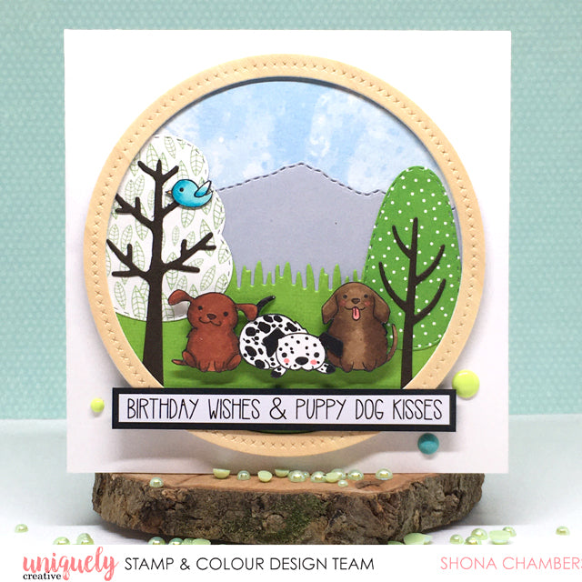 Birthday Wishes - Shona Chambers