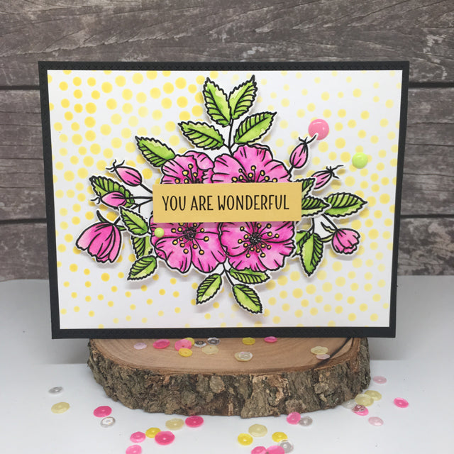 You Are Wonderful - Shona Chambers