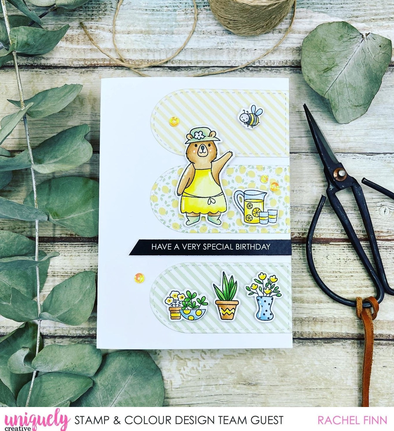 Special Birthday Tutorial + Bonus Card - Rachel Finn