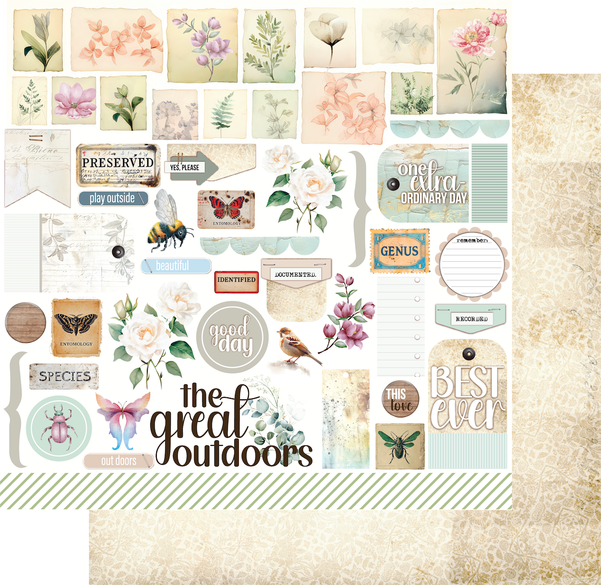 Documented Flora Paper