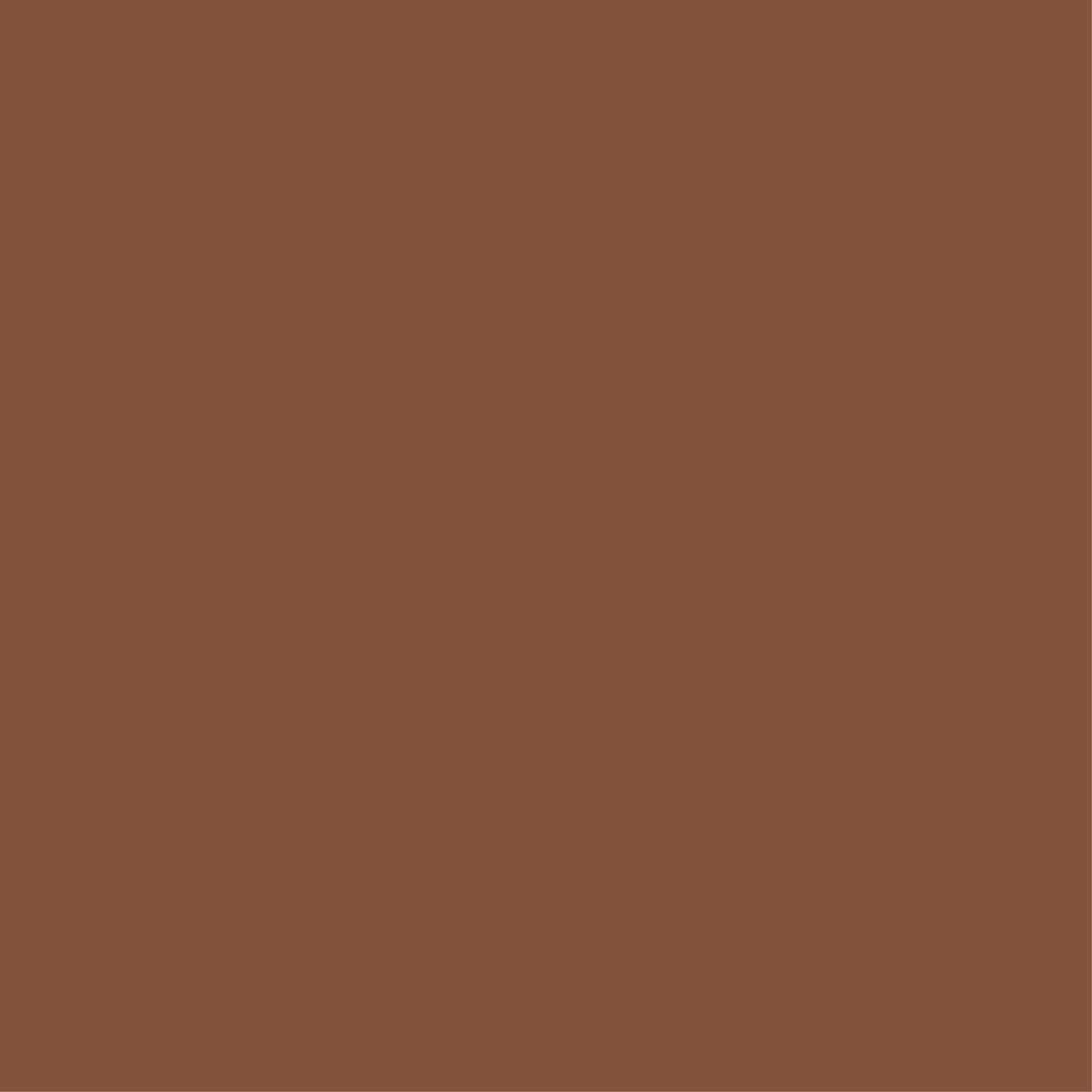 12 x 12 Chocolate Cardstock (Individual Sheet)