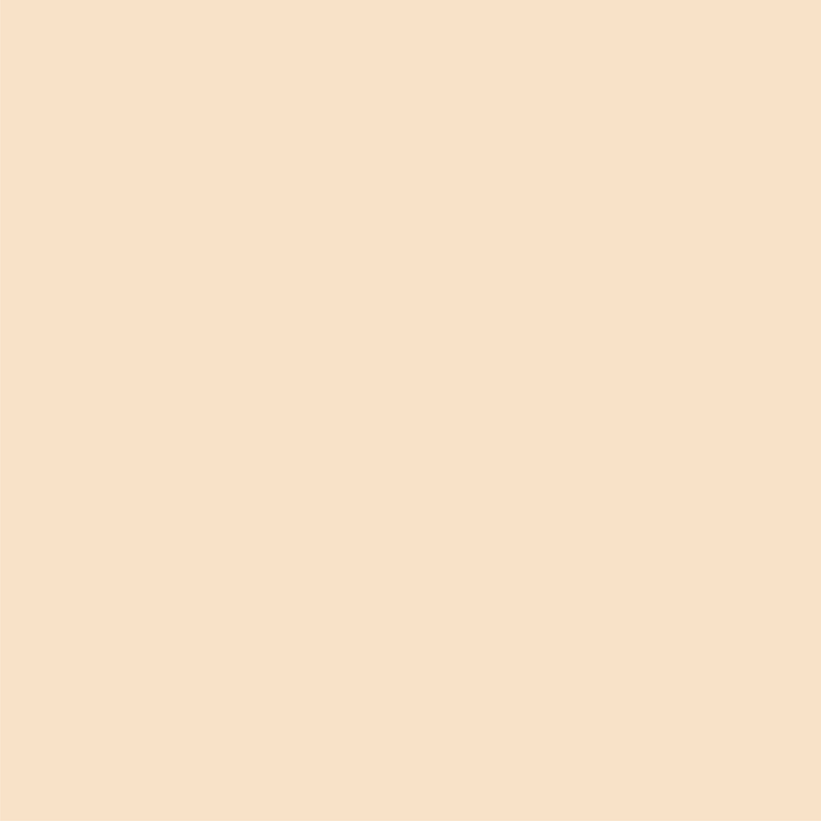 12 x 12 Champagne Cardstock
