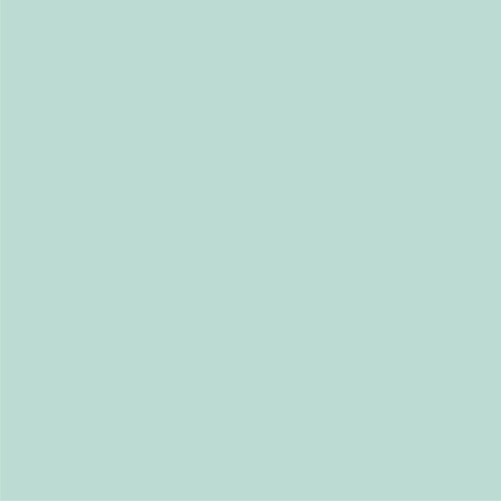 12 x 12 Mint Cardstock