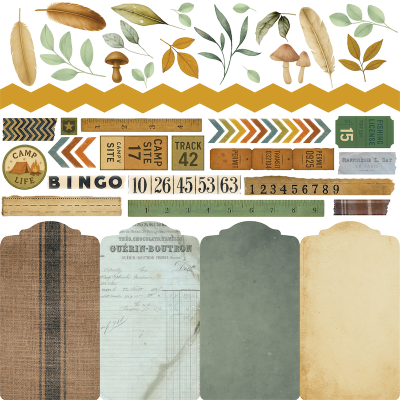 Wild Terrain Paper