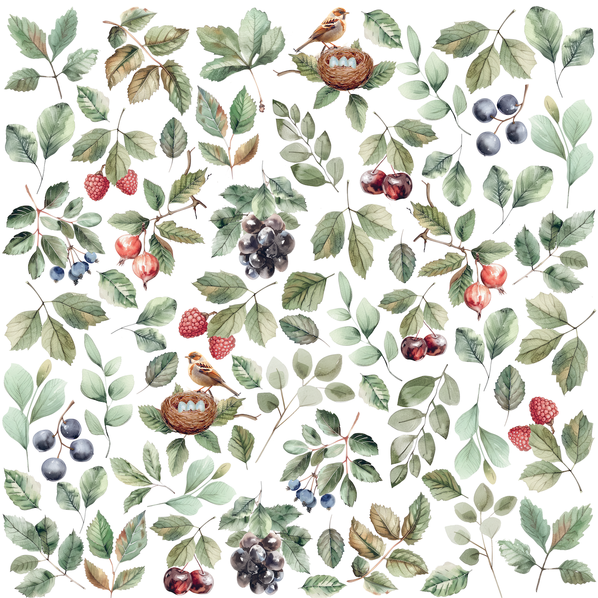 Natural Beauty Paper