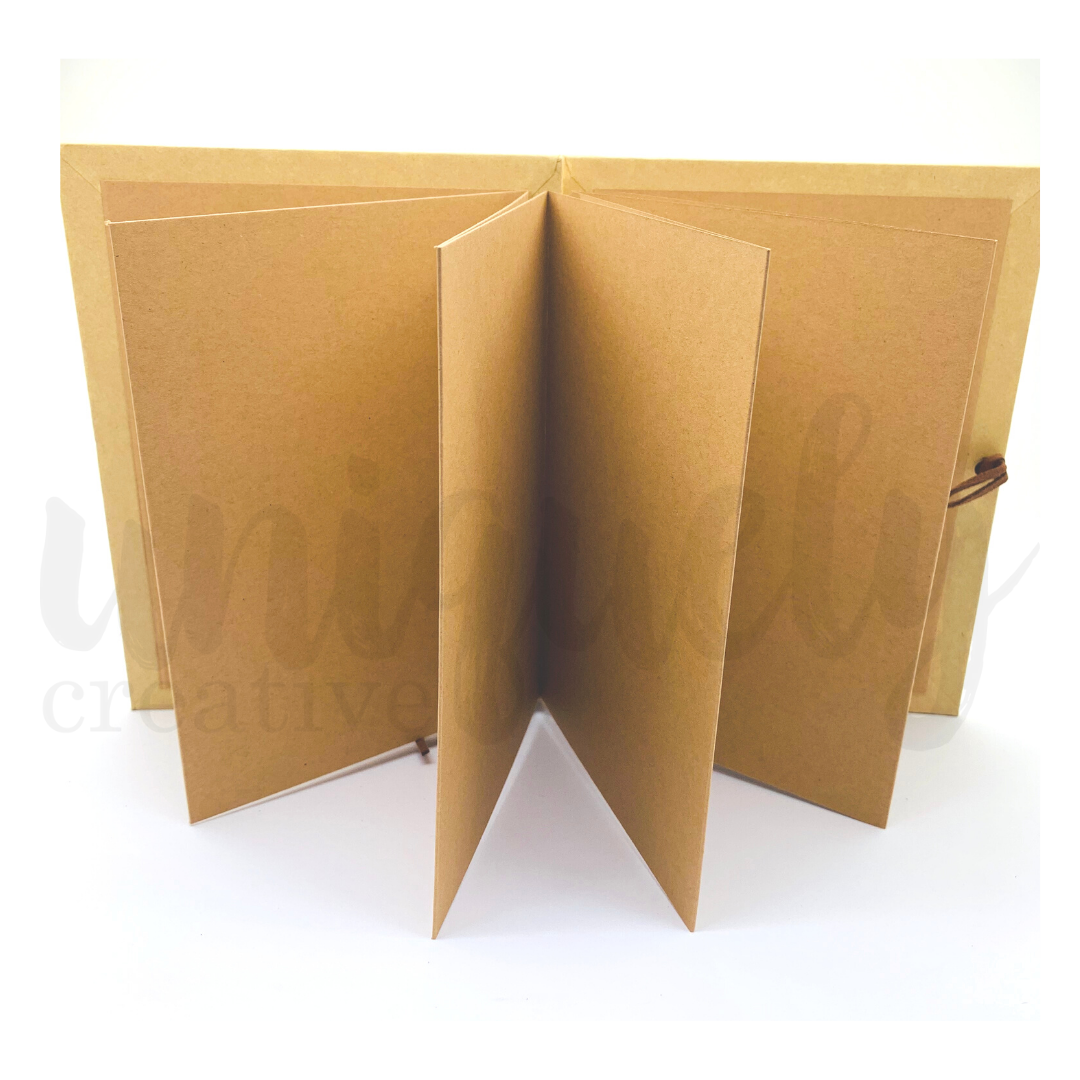 Accordion Album - Kraft