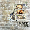 It's a Cats Life - Lydell Quin