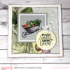 Plant, Smiles, Grow & Love - Alicia Borowski
