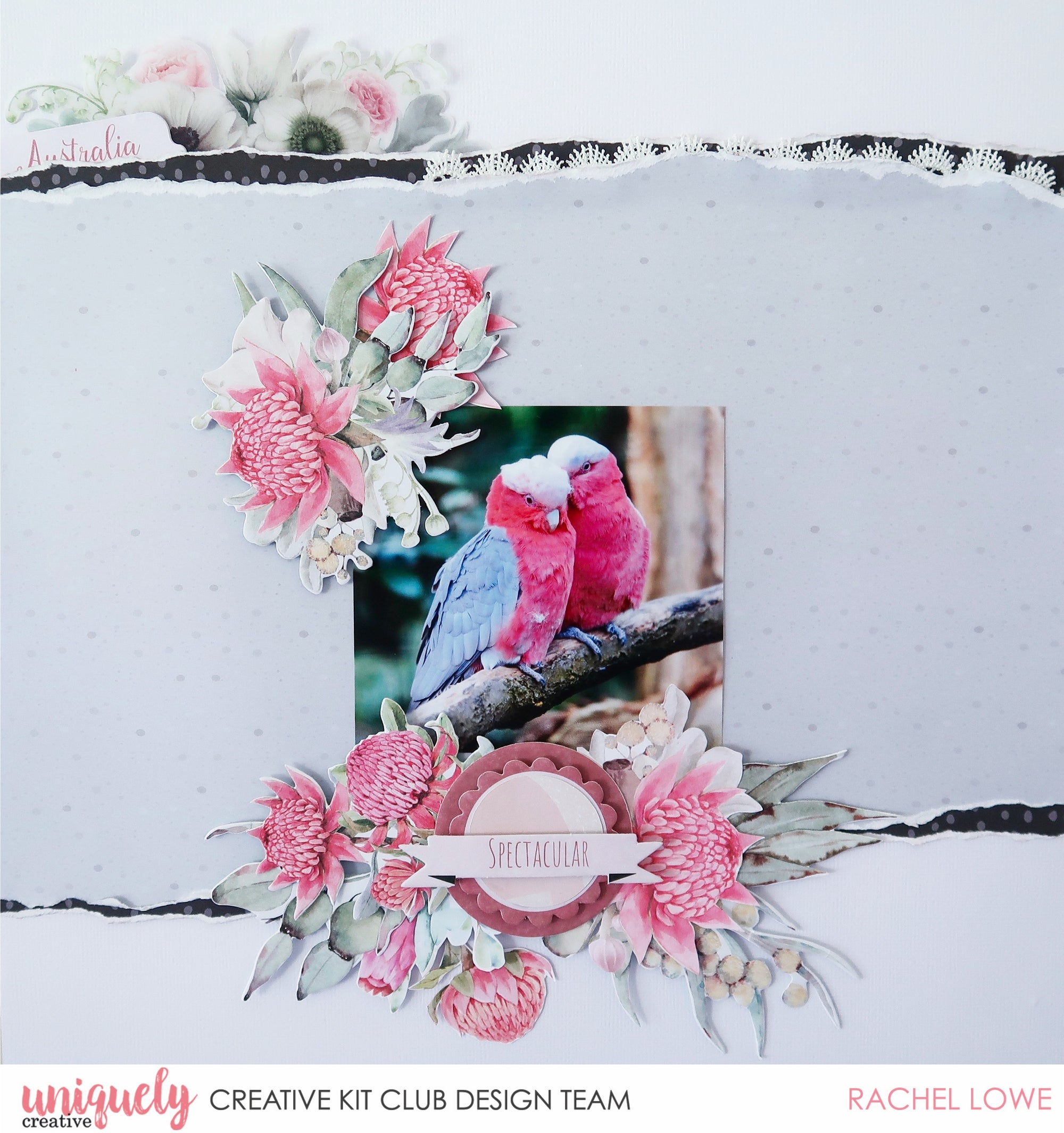 Outback Divine Spectacular Layout - Rachel Lowe