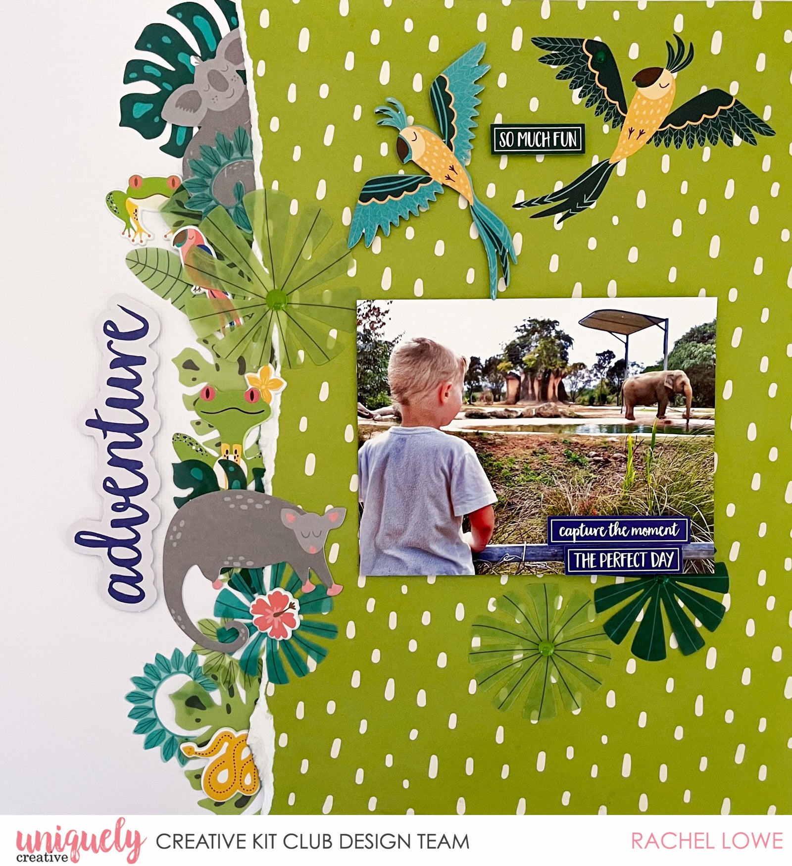 Rainforest Retreat Collection Wrap Up