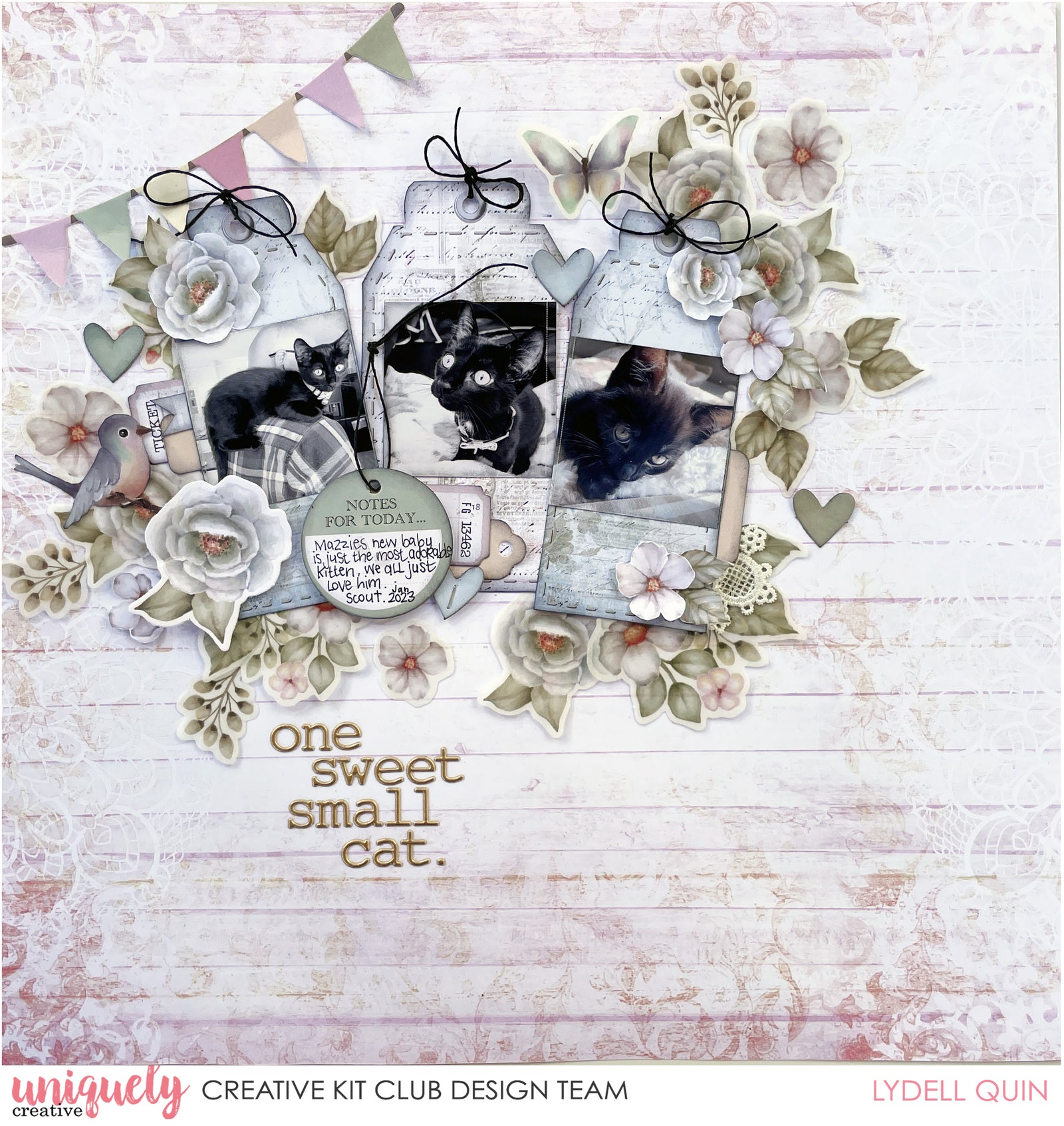 Why we should scrapbook our fur babies too.