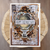 Steampunk Safari Cards - Farrel Tailor