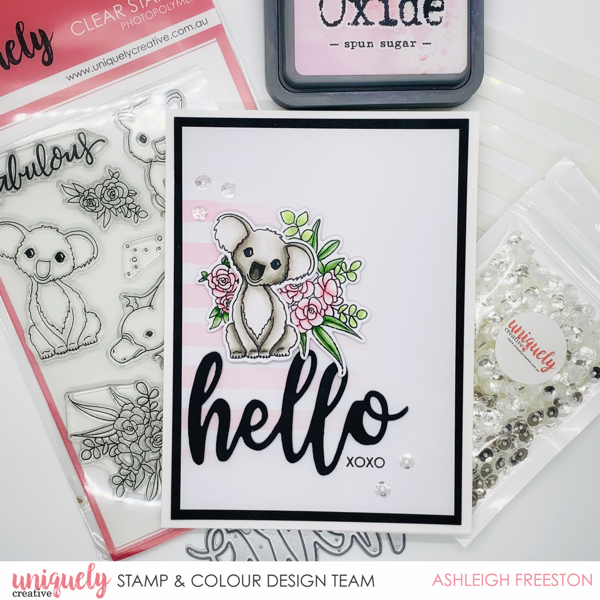Hello Koala - Ashleigh Freeston