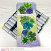 Slim Succulents - Ashleigh Newton-Spence
