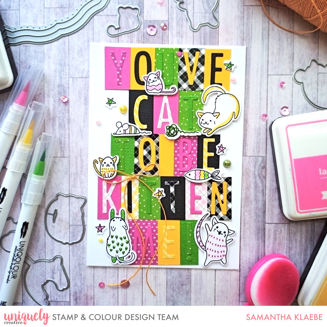 You've Cat to be Kitten Me! - Samantha Klaebe