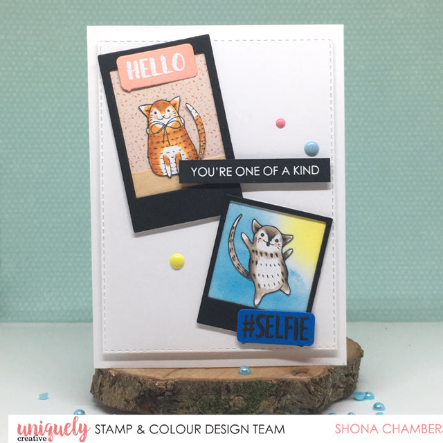 You're One of a Kind - Shona Chambers