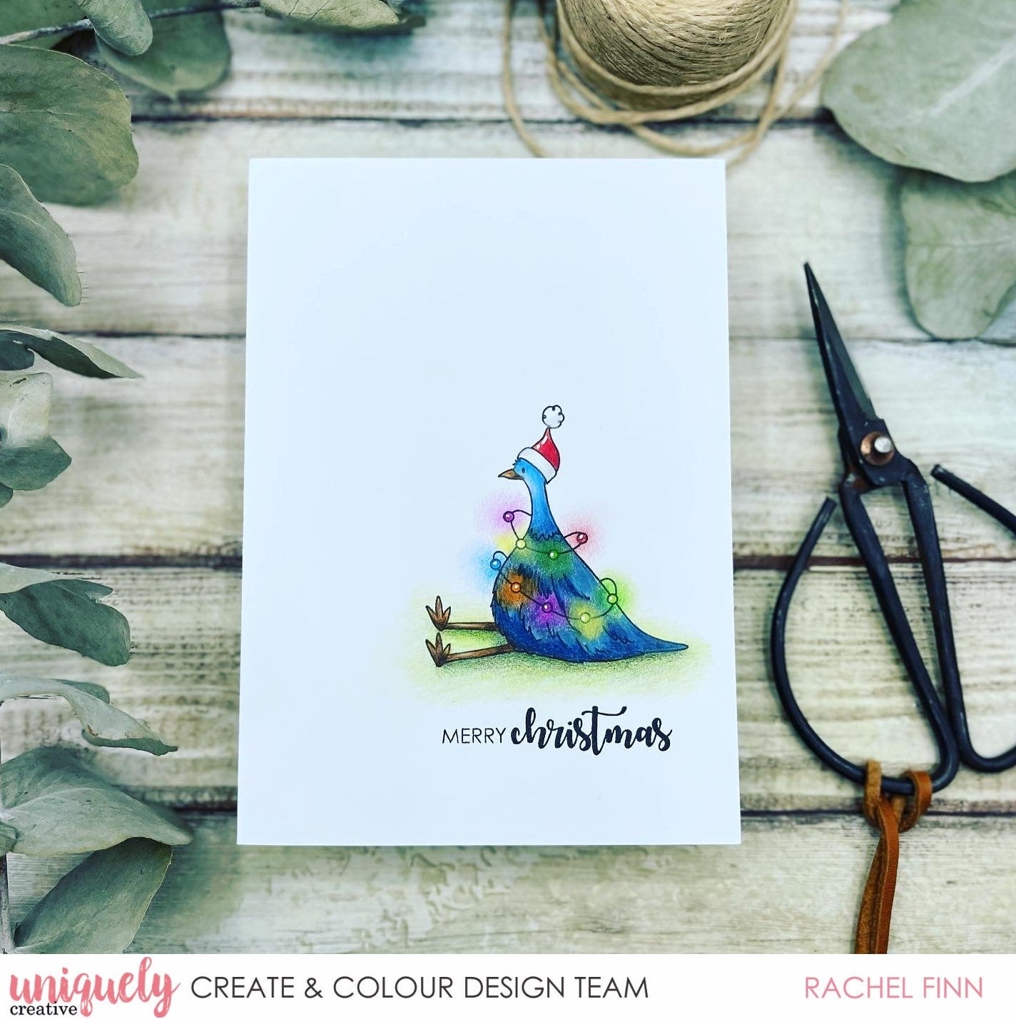 Aussie Beachmas Emu - Rachel Finn