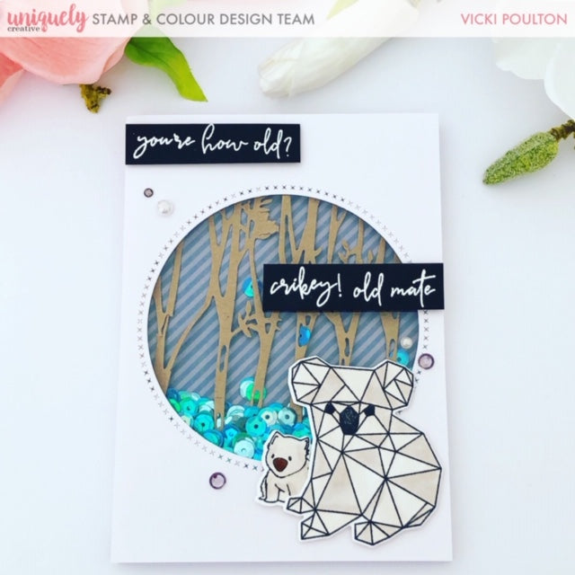 You're How Old? - Vicki Poulton