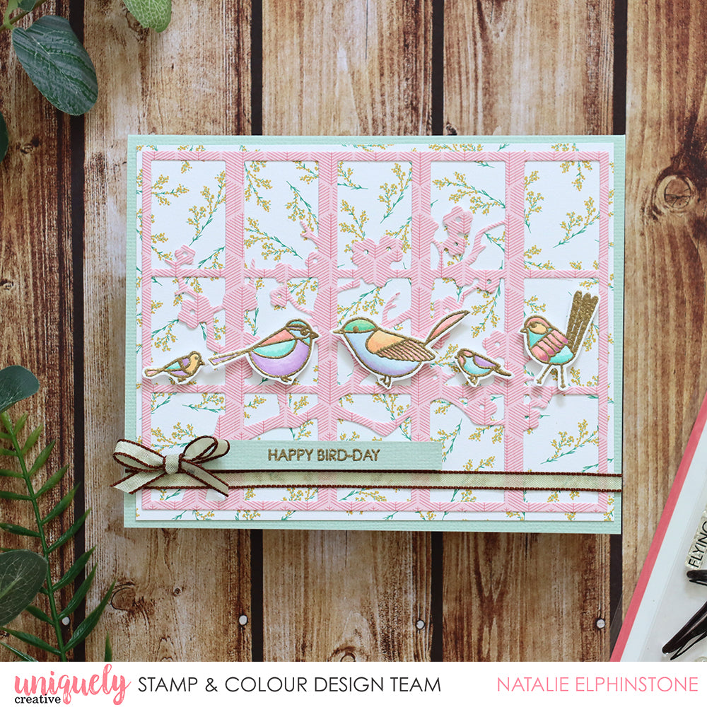 Happy Bird-Day - Natalie Elphinstone