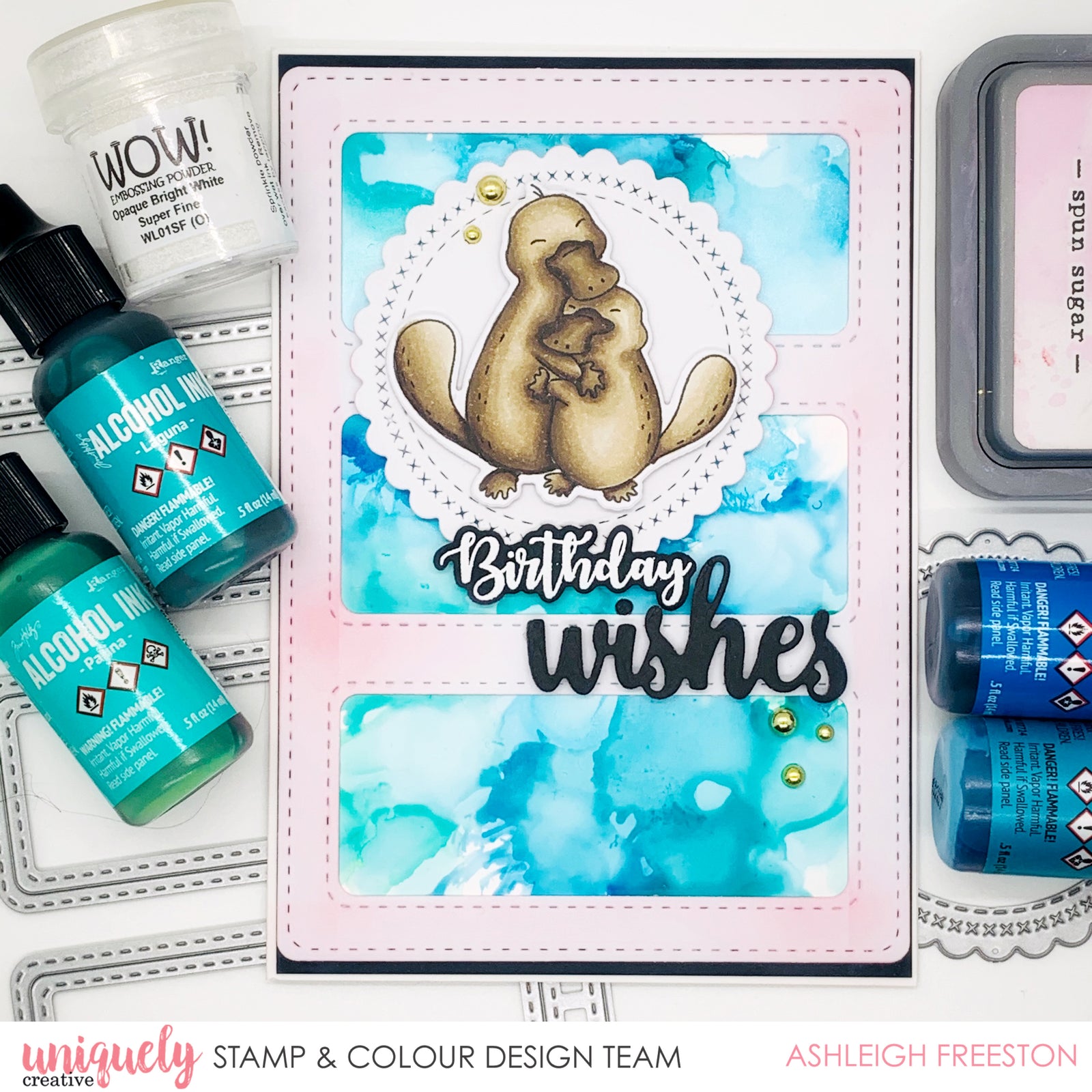 Birthday Wishes - Ashleigh Freeston