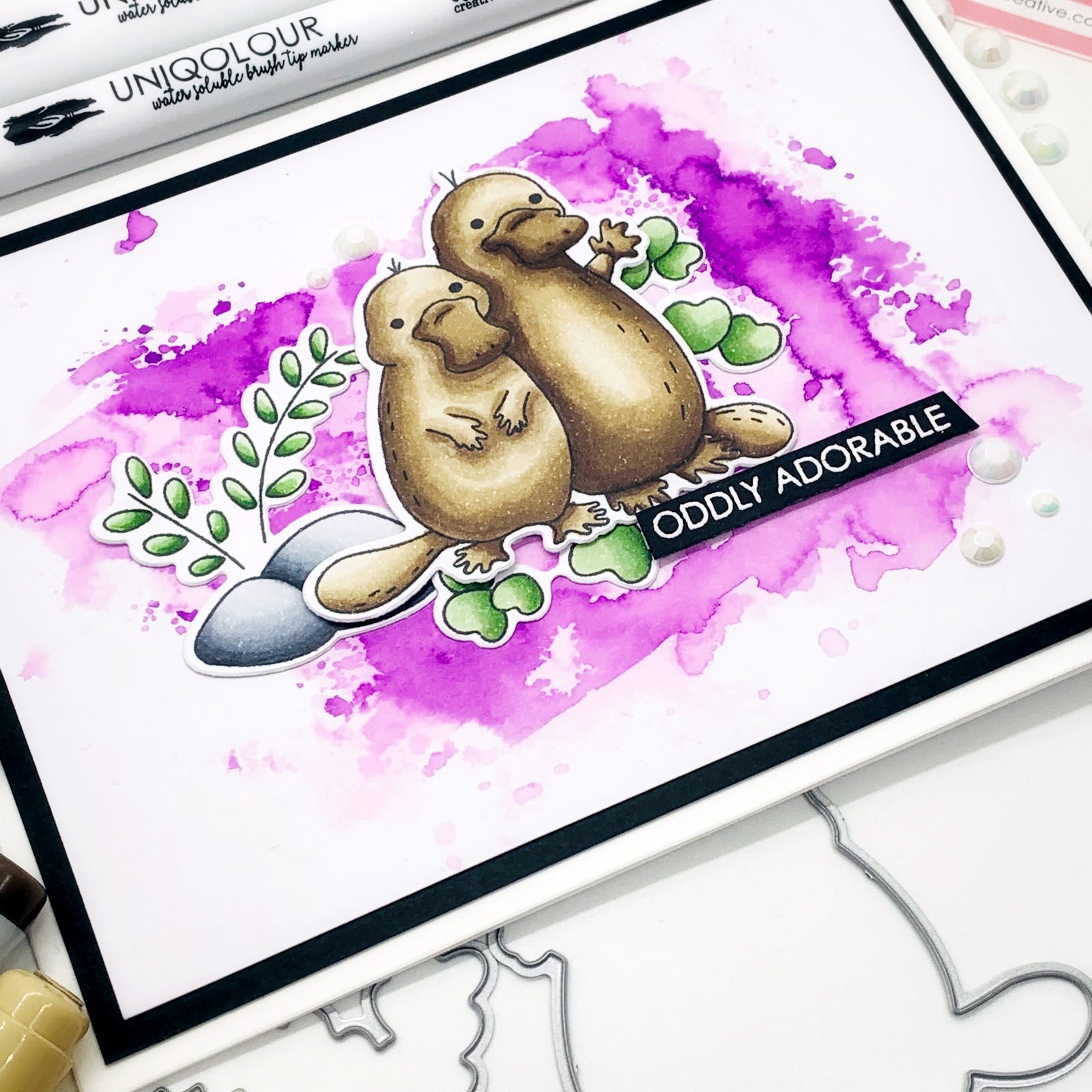 My Platypus Project Wrap Up