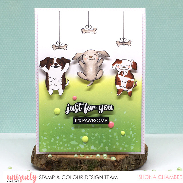 Just for You - Shona Chambers