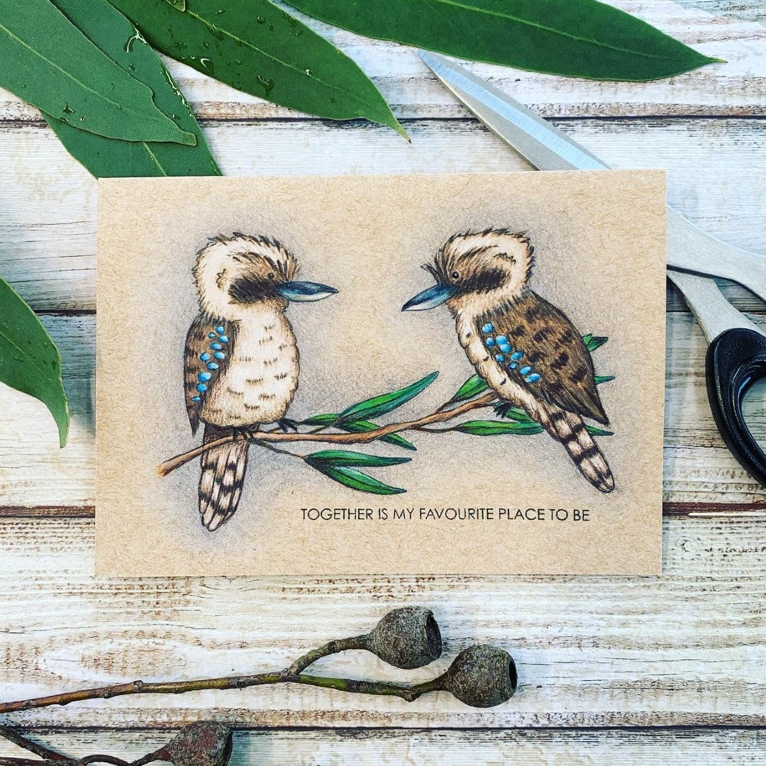 Kookaburra Party Project Wrap-Up