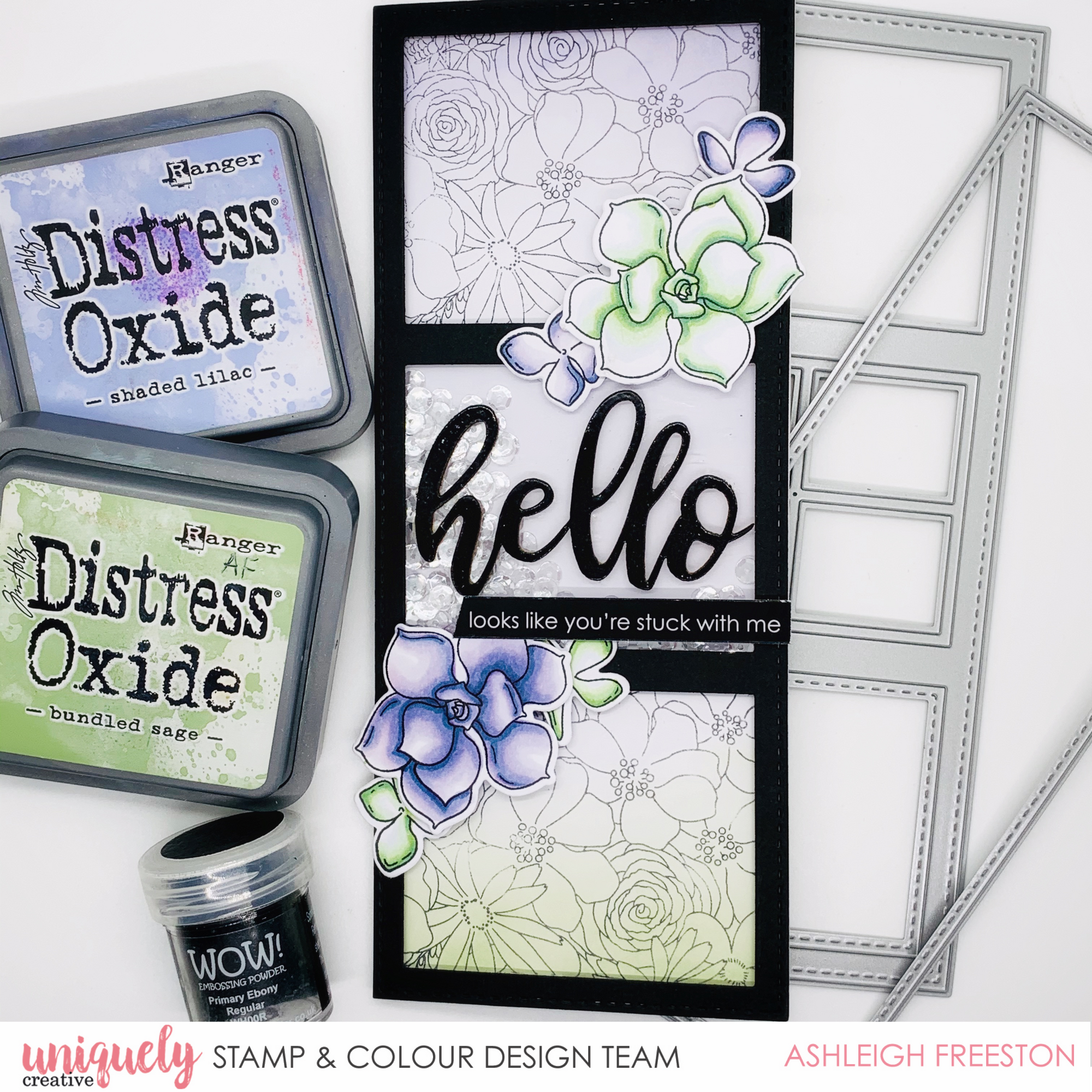 Hello Succulent Card - Ashleigh Freeston