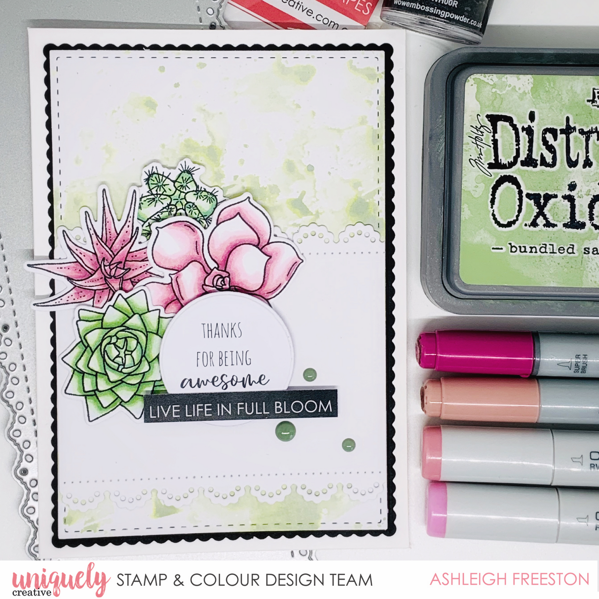 Succulents Mini Kit Recap