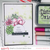 Succulents Mini Kit Recap